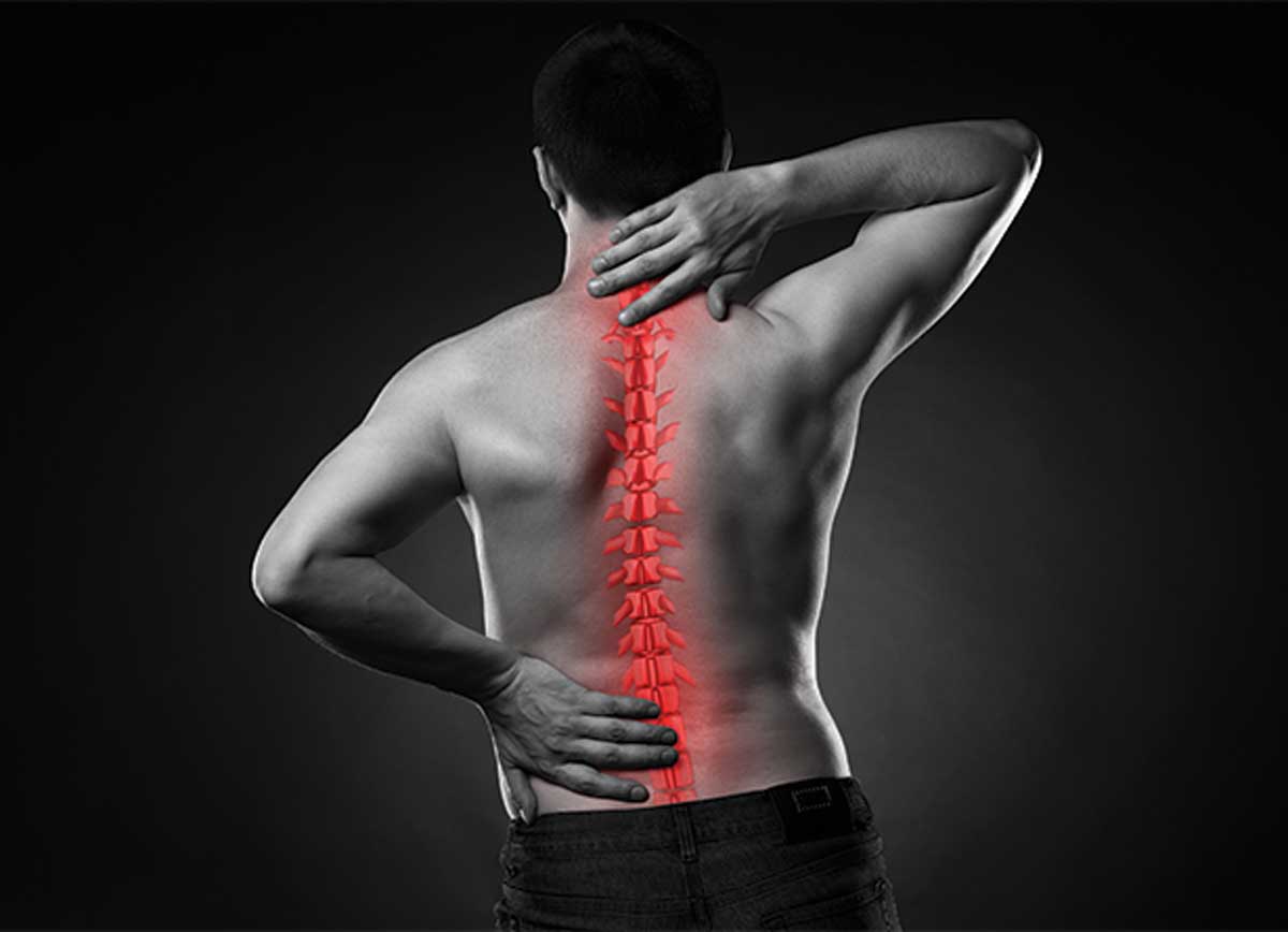 Reasons You Should See a Car Accident Chiropractor Reasons You Should See a Car Accident Chiropractor
